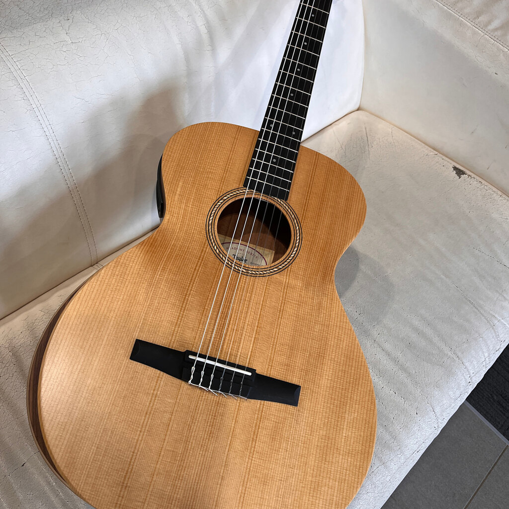 Taylor Guitars Taylor Academy A12e-N Acoustic Guitar
