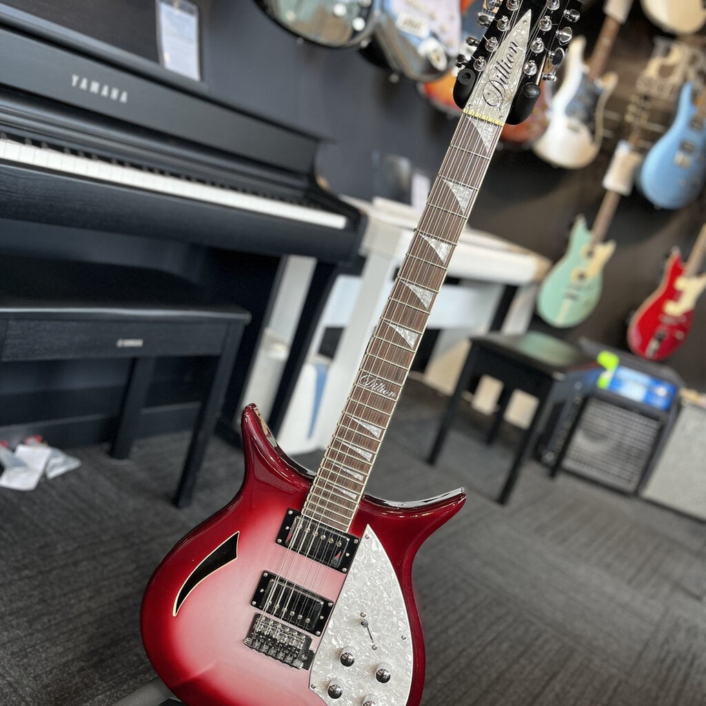 Consignment/Used Dillion 12 String Rickenbacker w/HS Case