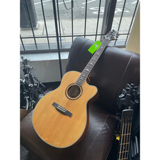 Consignment/Used PRS SE Angeles Standard Modded w/PU & OEM HS Case