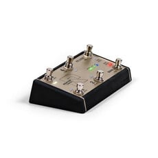 Positive Grid Positive Grid Reactor Control Footswitch