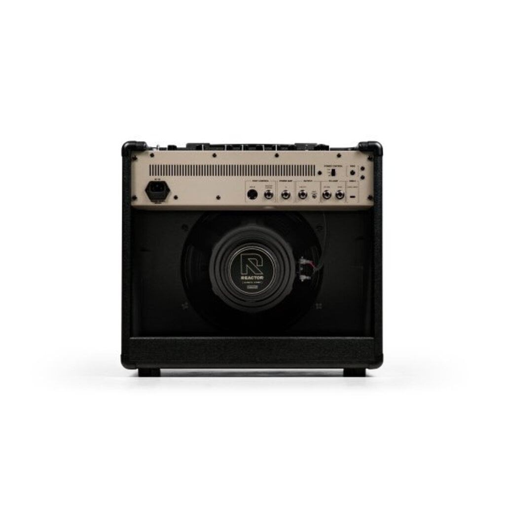 Positive Grid Positive Grid 50W Reactor Amplifier