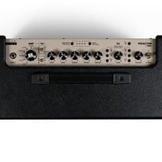 Positive Grid Positive Grid 100W Reactor Amplifier