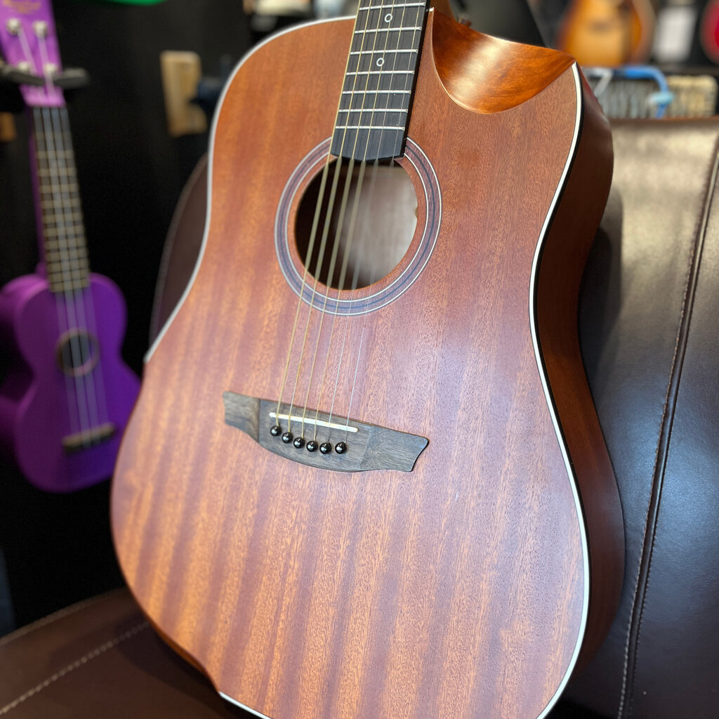 Consignment/Used Strinberg Acoustic/Electric Guitar