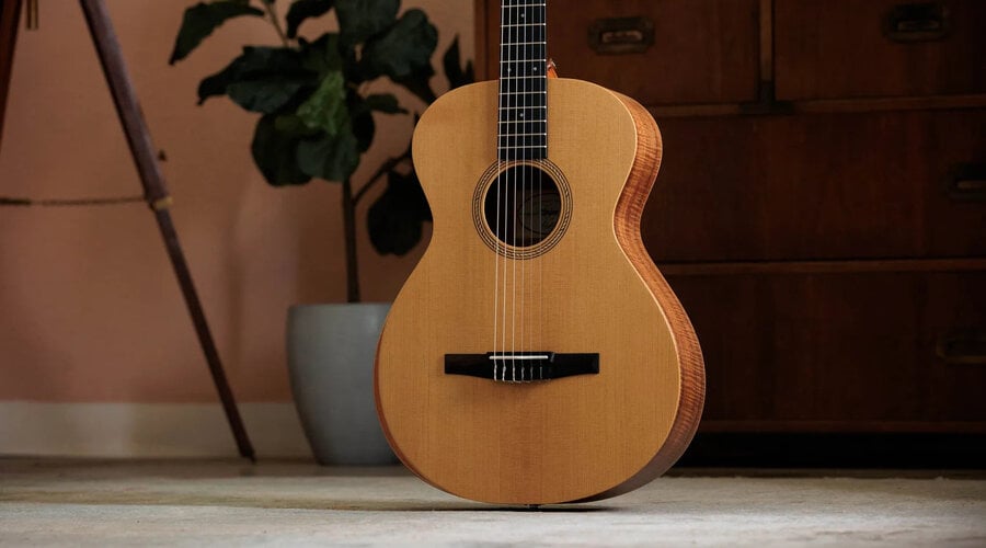 The Taylor A12e-N