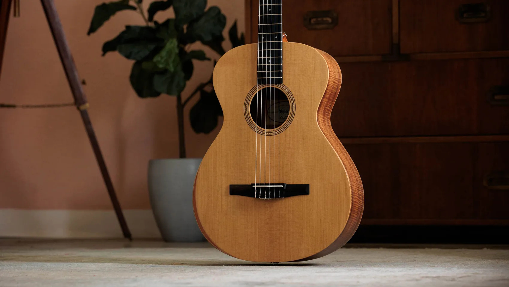 The Taylor A12e-N