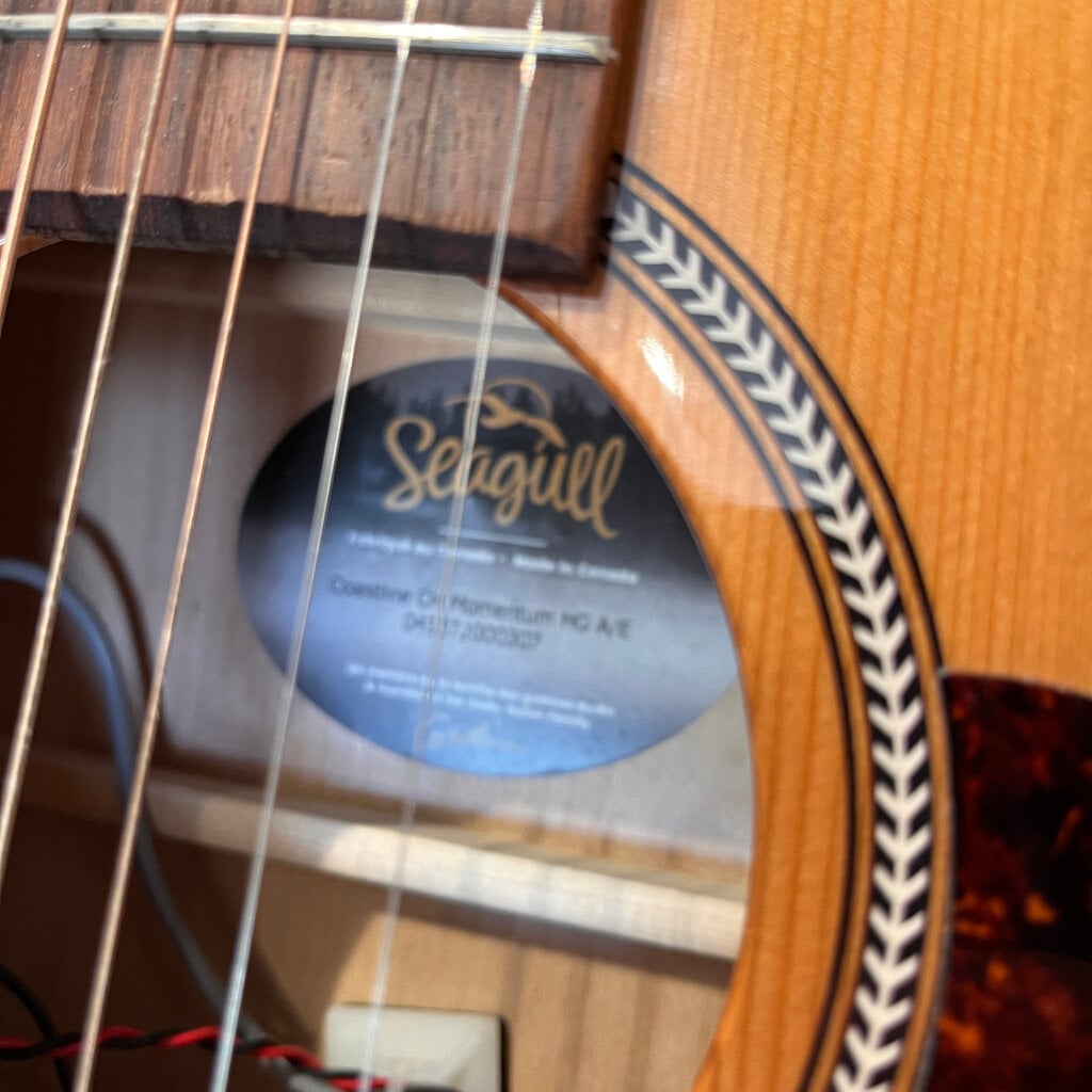 Seagull Used/Consignment Seagull Coastline Momentum HG Acoustic w/Seagull HS Case