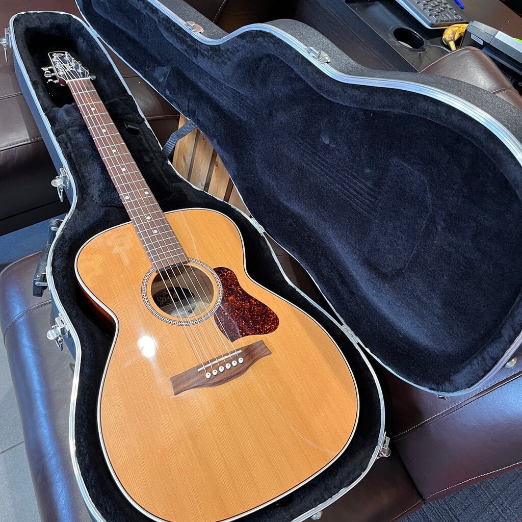 Seagull Used/Consignment Seagull Coastline Momentum HG Acoustic w/Seagull HS Case