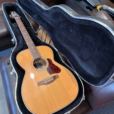 Seagull Used/Consignment Seagull Coastline Momentum HG Acoustic w/Seagull HS Case