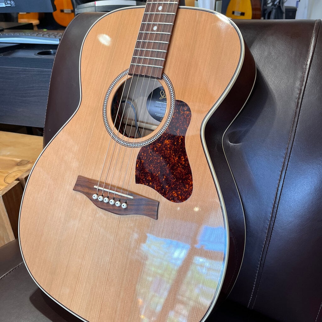 Seagull Used/Consignment Seagull Coastline Momentum HG Acoustic w/Seagull HS Case