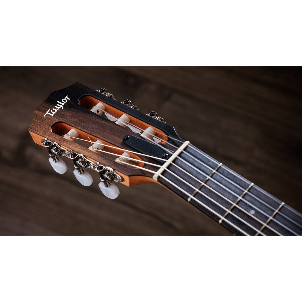 Taylor Guitars Taylor 214ce-N Acoustic Guitar
