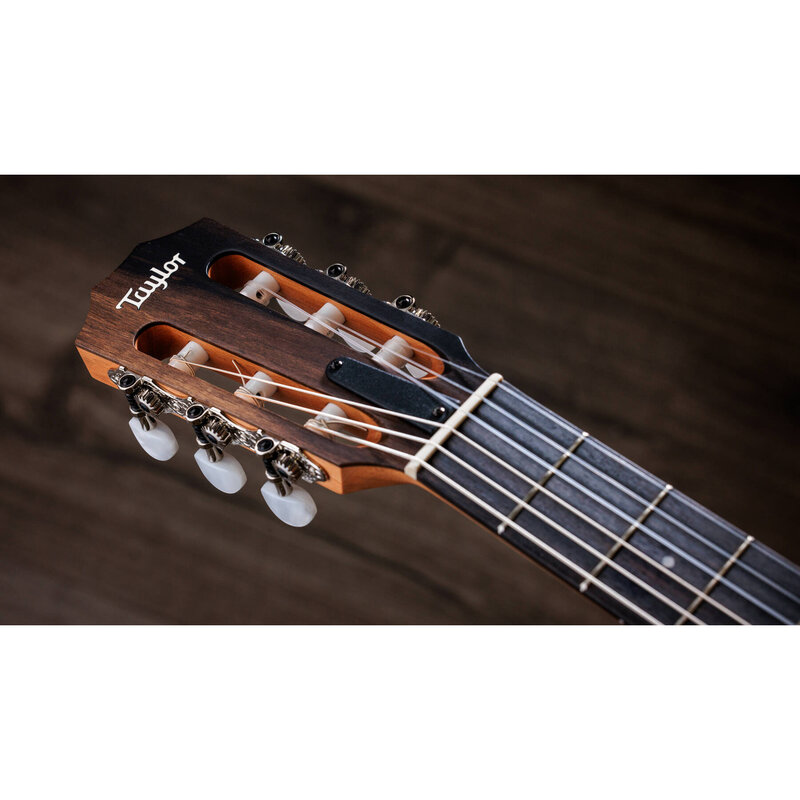Taylor Guitars Taylor 214ce-N Acoustic Guitar