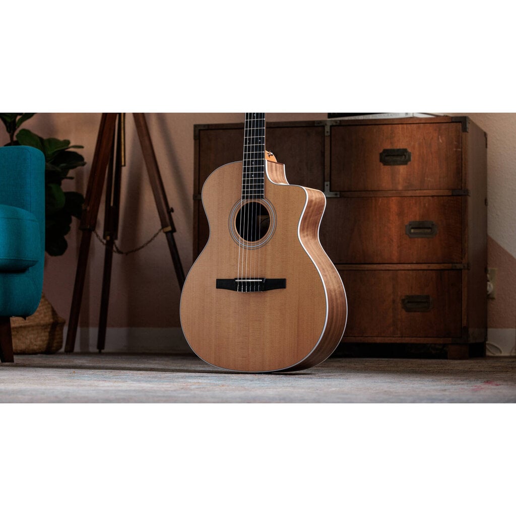 Taylor Guitars Taylor 214ce-N Acoustic Guitar