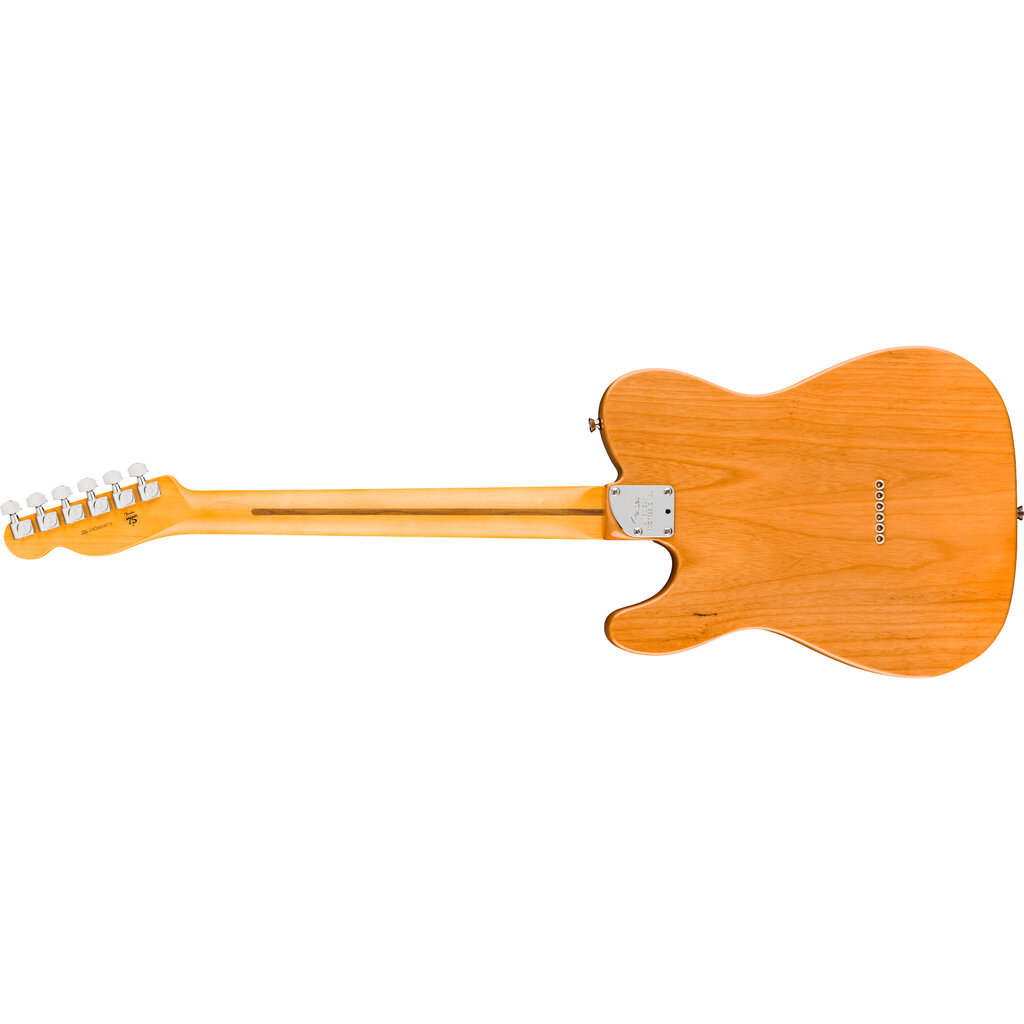 Fender Fender American Professional Telecaster RW - Natural