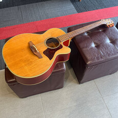 Consignment/Used Takamine EAN40C - w/Gig Bag