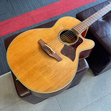 Consignment/Used Takamine EAN40C - w/Gig Bag