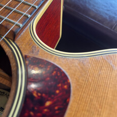 Consignment/Used Takamine EAN40C - w/Gig Bag