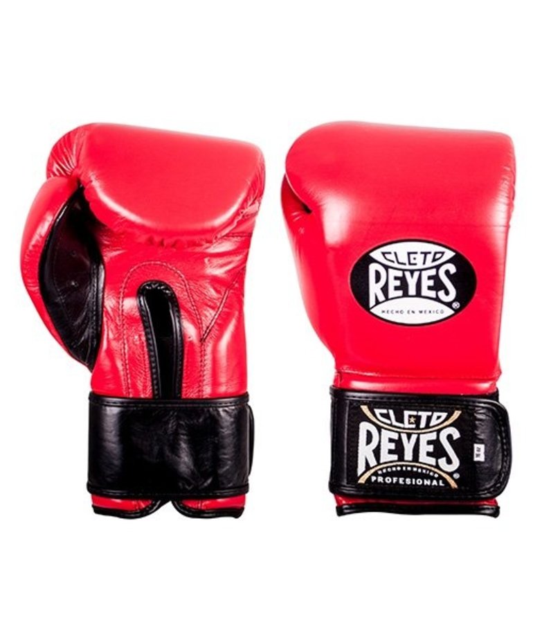 Cleto Reyes Heavy Bag Review Literacy Basics