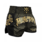 Wicked One Wicked One Lion Muay Thai Short