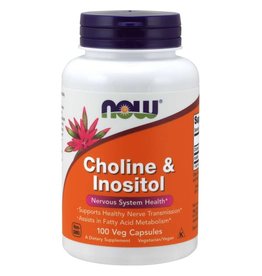 NOW Foods Choline & Inositol 500mg