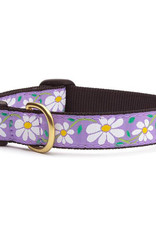 Up Country Daisy Dog Collar - Size 12