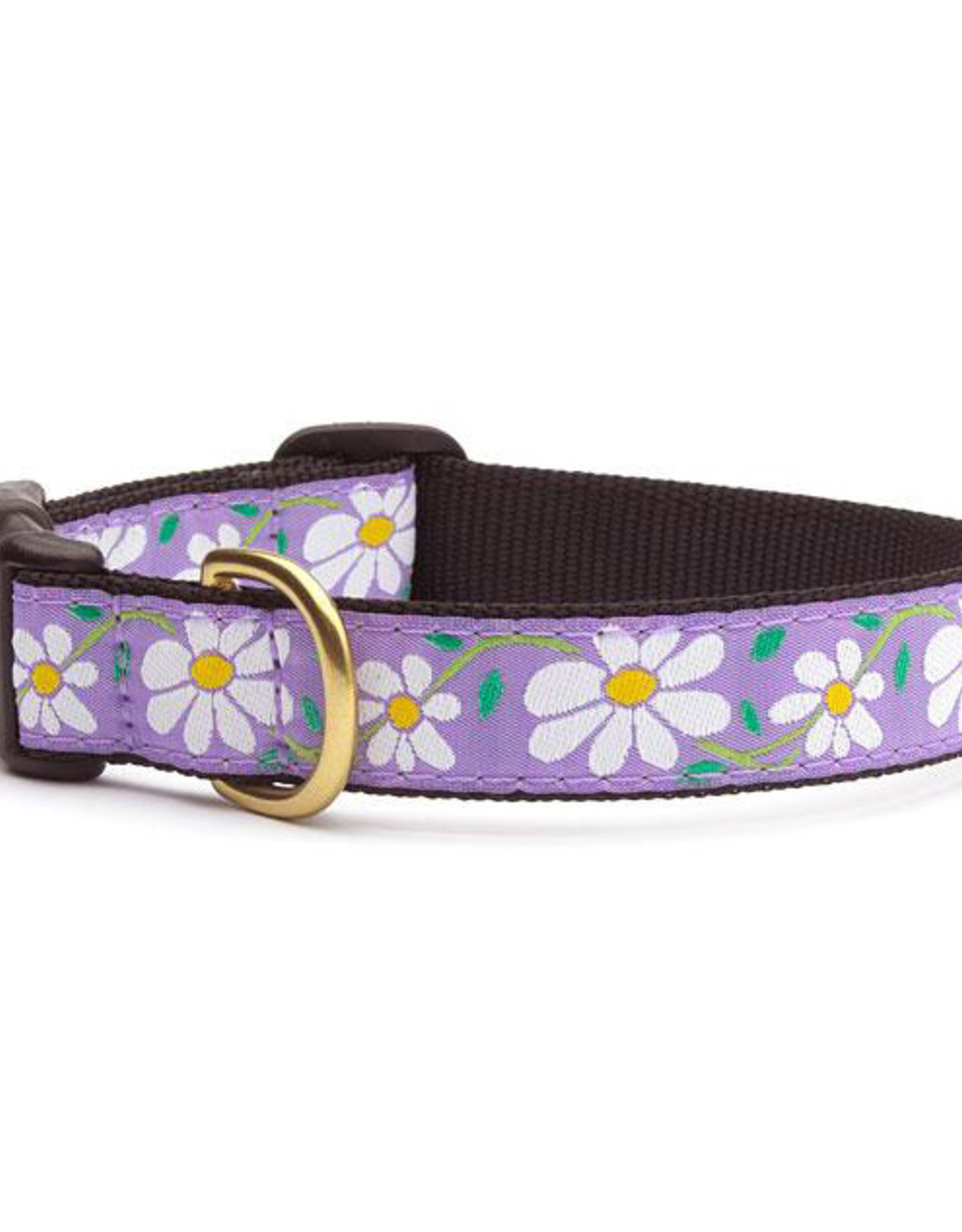Up Country Daisy Dog Collar - Size 12