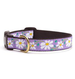 Up Country Daisy Dog Collar - Size 12