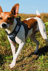 BayDog Liberty Bay Black Harness - XXSmall BayDog Liberty Bay Black Harness - XXSmall