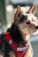 BayDog Liberty Bay Clifford Red Harness BayDog Liberty Bay Clifford Red Harness