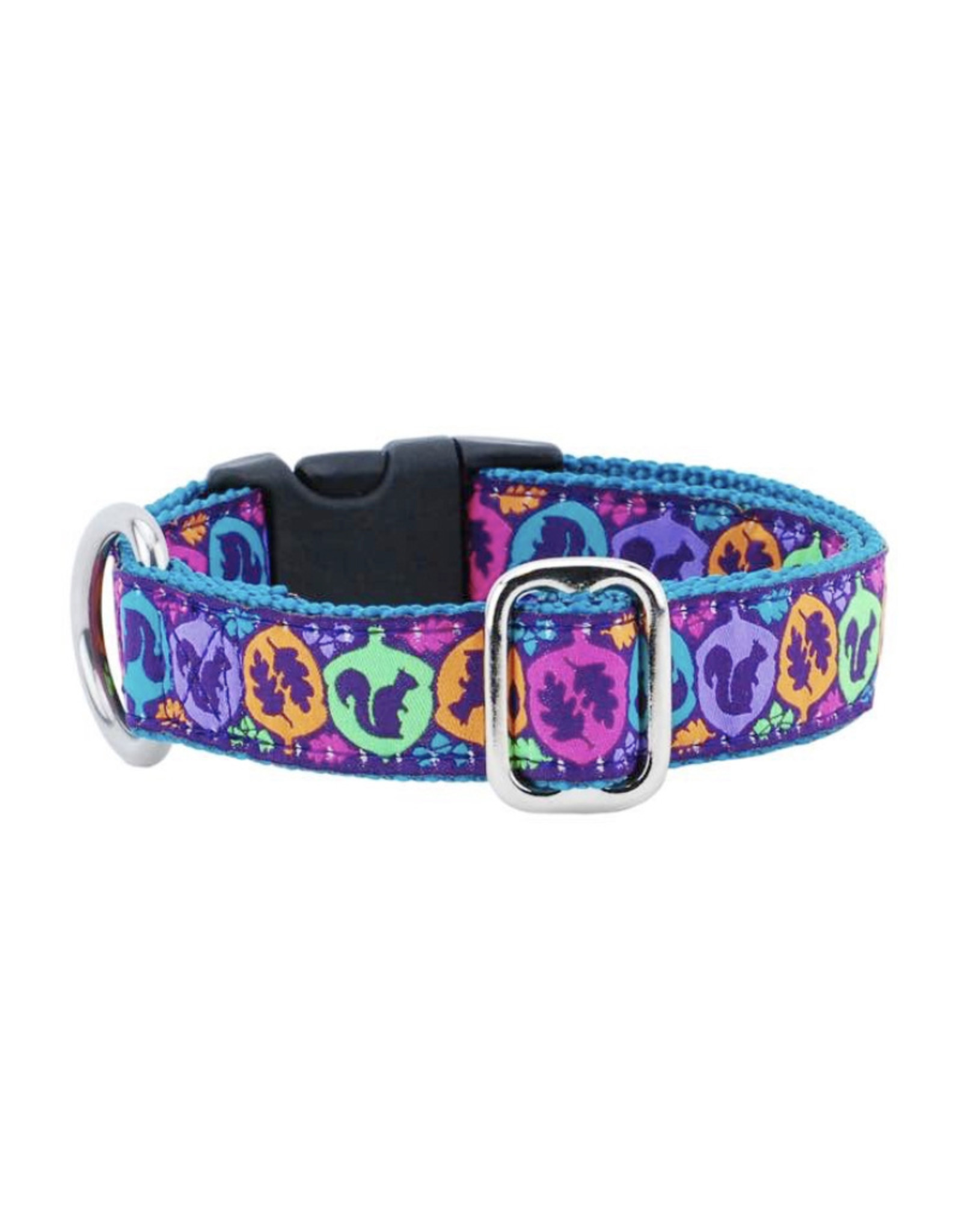 2 Hounds Design Squirrel Essential Buckle Dog Collar - Medium