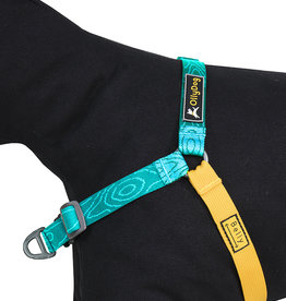 OllyDog Essential Sky Bark Harness