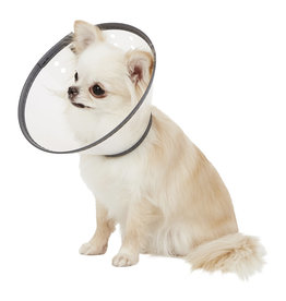 Remedy Recovery Dog E-Collar - Small