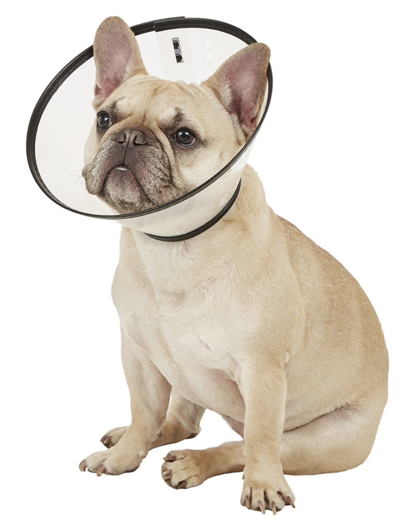 Remedy Recovery Dog E-Collar - Medium