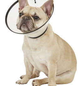 Remedy Recovery Dog E-Collar - Medium