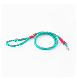 ZippyPaws Mod Essential Teal Dog Leash - 5 feet
