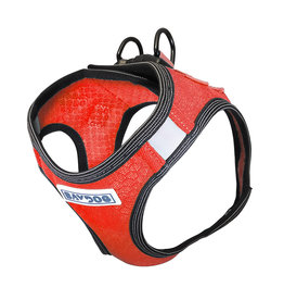 BayDog Liberty Bay Red Harness -XXSmall