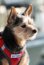 BayDog Liberty Bay Red Harness -XXSmall BayDog Liberty Bay Red Harness -XXSmall