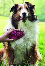 Kong ZoomGroom (Boysenberry) – Large