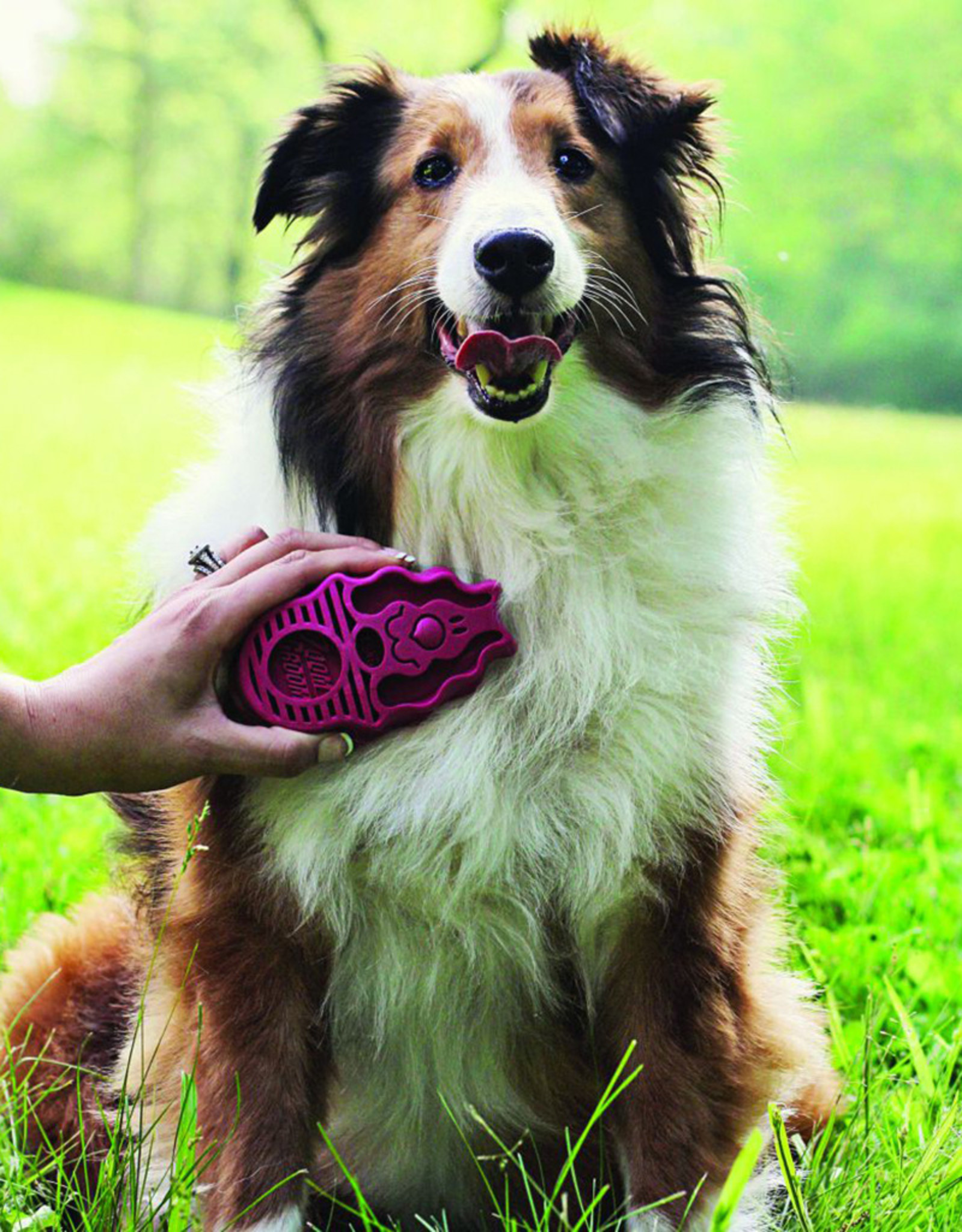 Kong ZoomGroom (Boysenberry) – Large