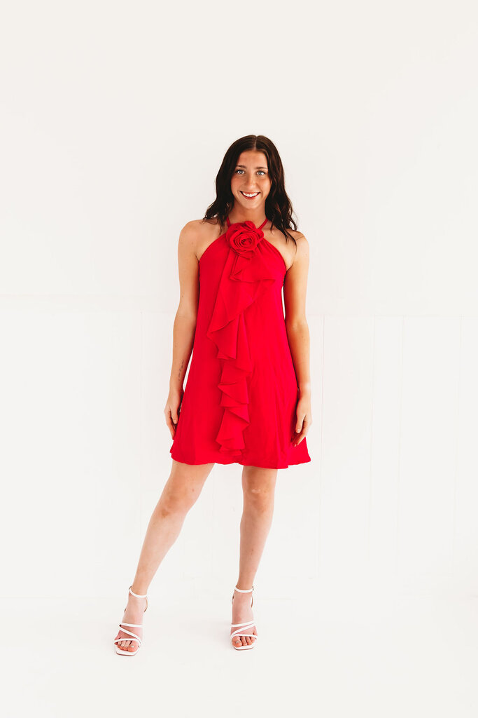The Rosette Halter Dress