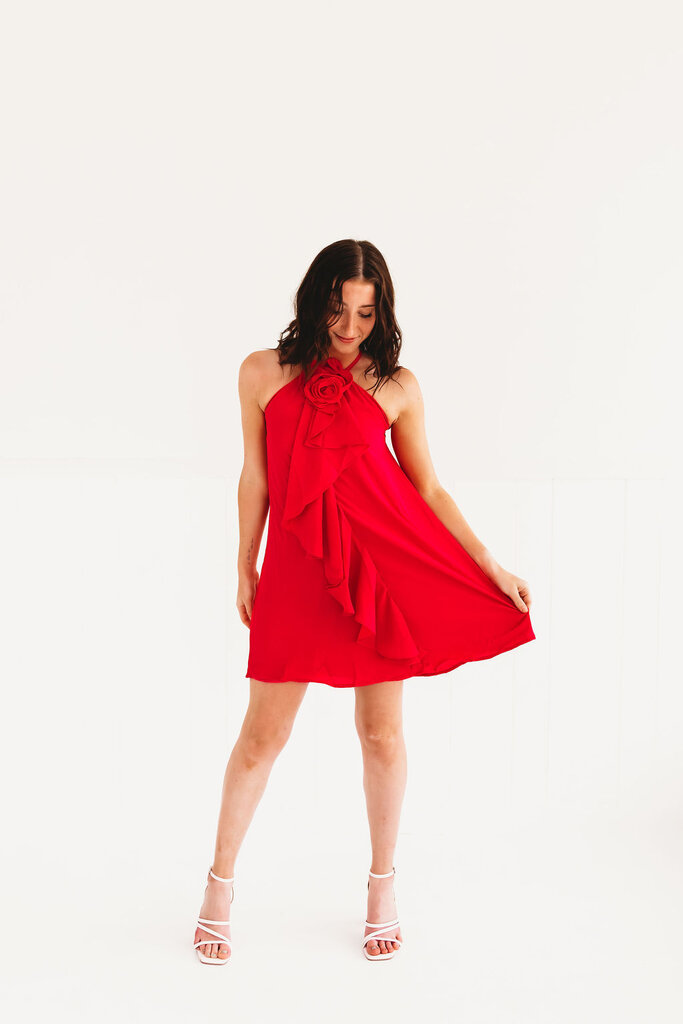 The Rosette Halter Dress