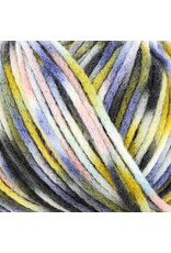 Knitting Fever Juniper Moon Fourteen Aran Paints