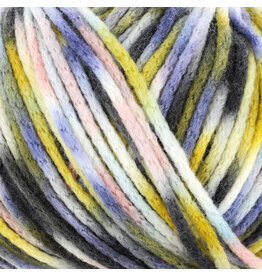 Knitting Fever Juniper Moon Fourteen Aran Paints