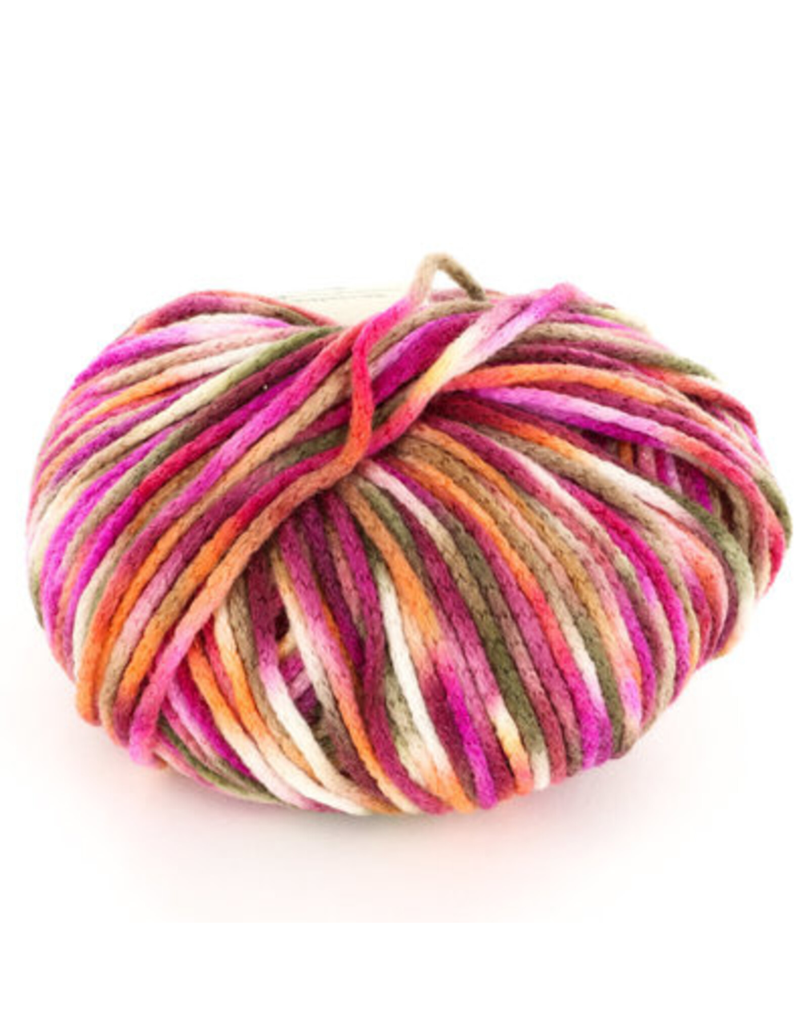 Knitting Fever Juniper Moon Fourteen Aran Paints