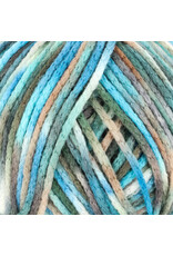 Knitting Fever Juniper Moon Fourteen Aran Paints
