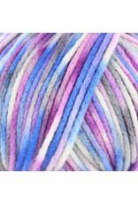 Knitting Fever Juniper Moon Fourteen Aran Paints