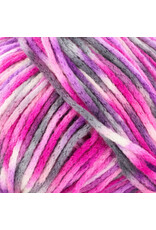Knitting Fever Juniper Moon Fourteen Aran Paints
