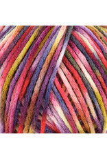 Knitting Fever Juniper Moon Fourteen Aran Paints