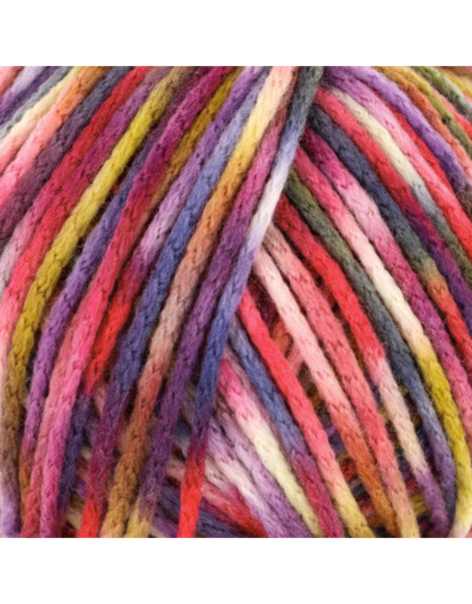 Knitting Fever Juniper Moon Fourteen Aran Paints