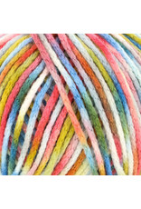 Knitting Fever Juniper Moon Fourteen Aran Paints