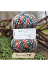 West Yorkshire Spinners WYS Signature 4 Ply - Part 3 of 3
